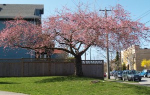 Near West 6th & Arbutus