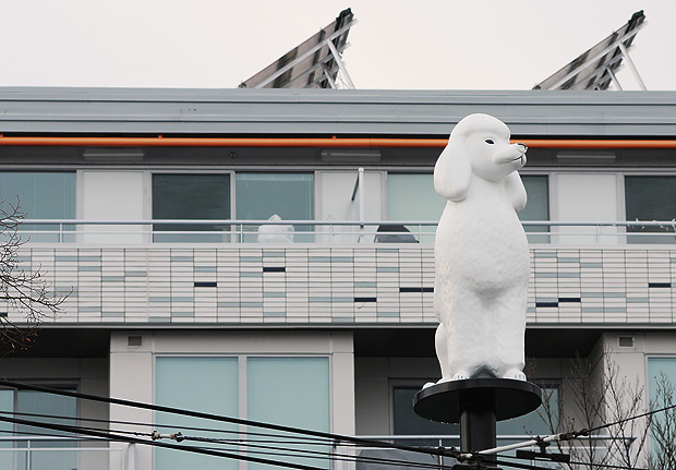 Photo credit: The Vancouver Courier