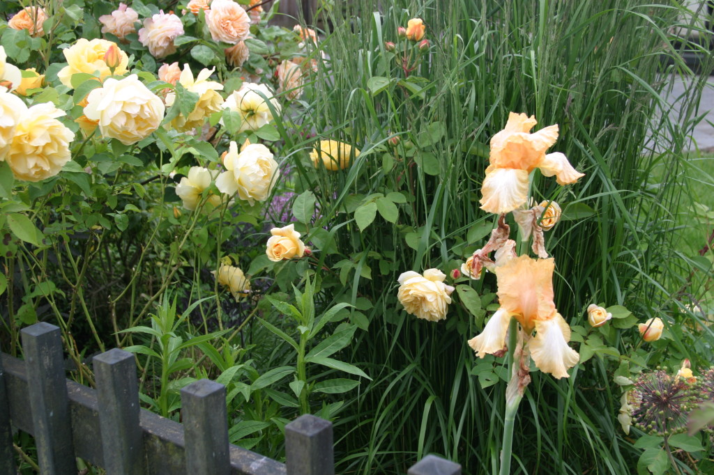 Image five