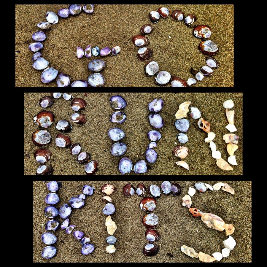 Funny how seashells wash ashore like this