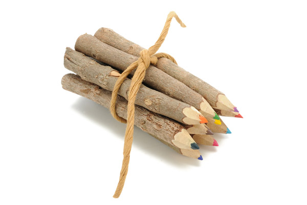 eco-twig-pencils
