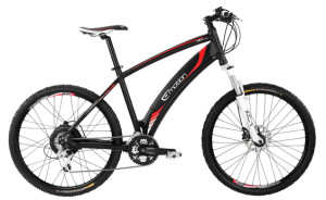 Neo Xtrem electric bike (from Evolution Bikes)