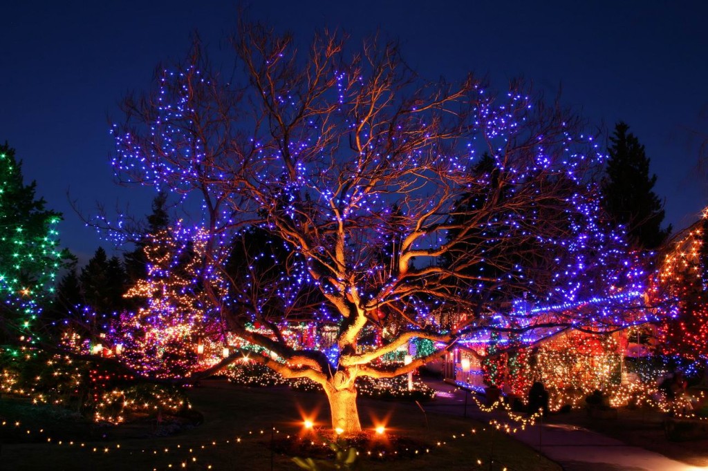VanDusen-Festival-of-Lights