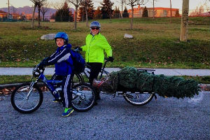 @sunrise604 hauls a Christmas Tree home by bike