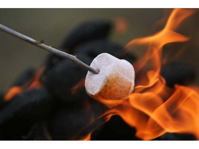 marshmallow roasting