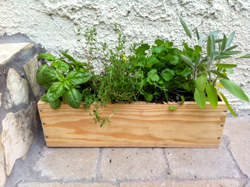 Herb-Garden-Box