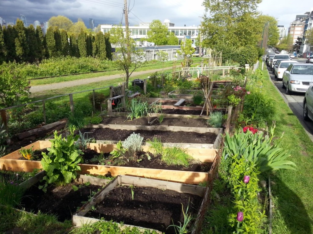 Image: Cypress Community Garden