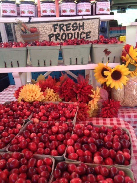 CranberriesKitsMarket