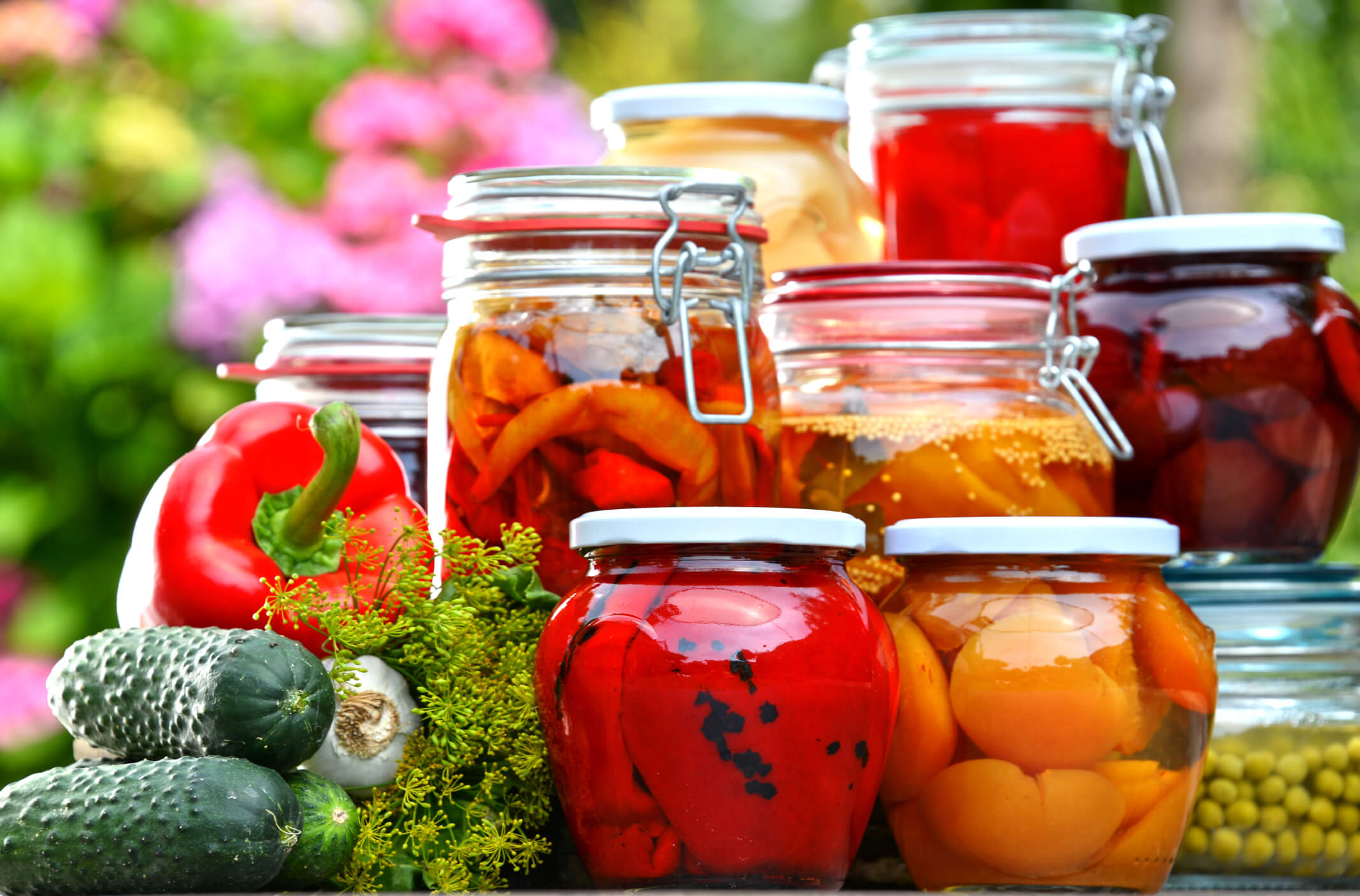 Best Canning and Food Preservation Equipment for Preserving Local