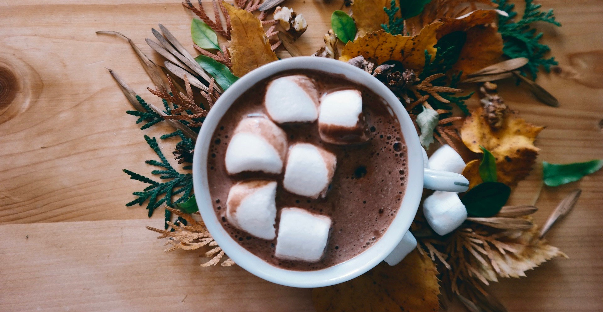 3 Top Shops For Hot Chocolate In Kitsilano Kitsilano ca