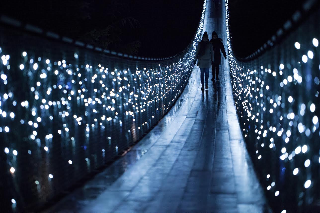 The Best Christmas Lights in Vancouver  Kitsilano.ca