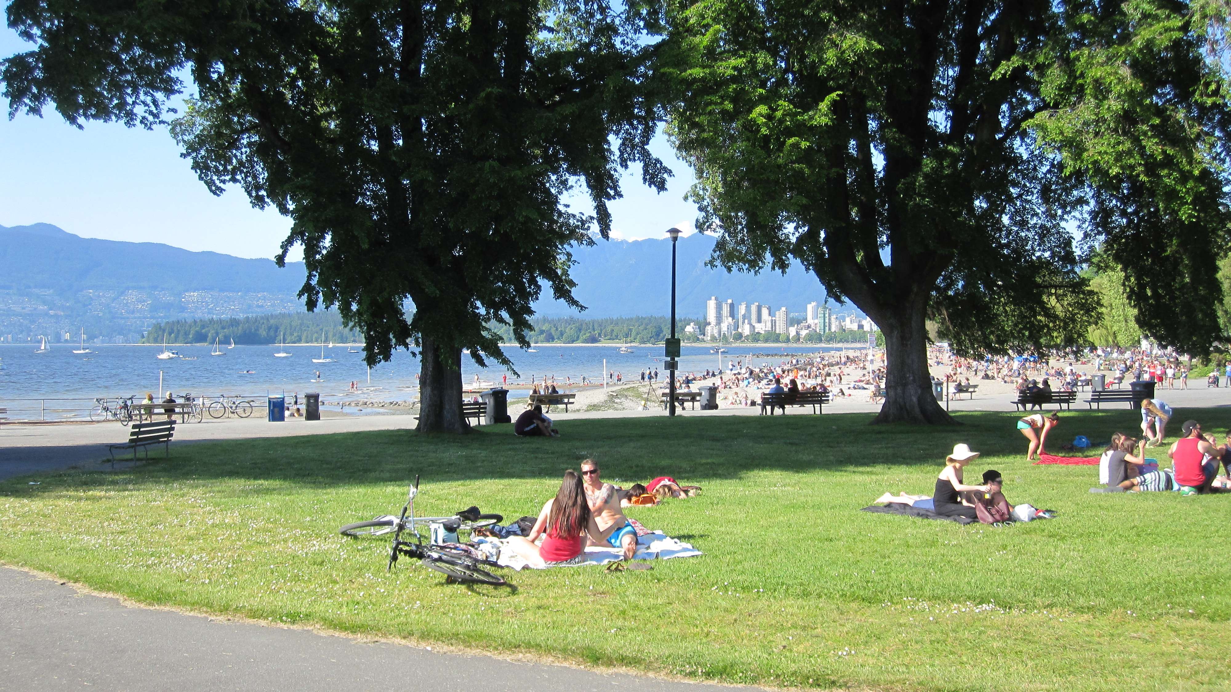 Petition Demands Kits Beach and Hadden Park Be Declared Pedestrianonly