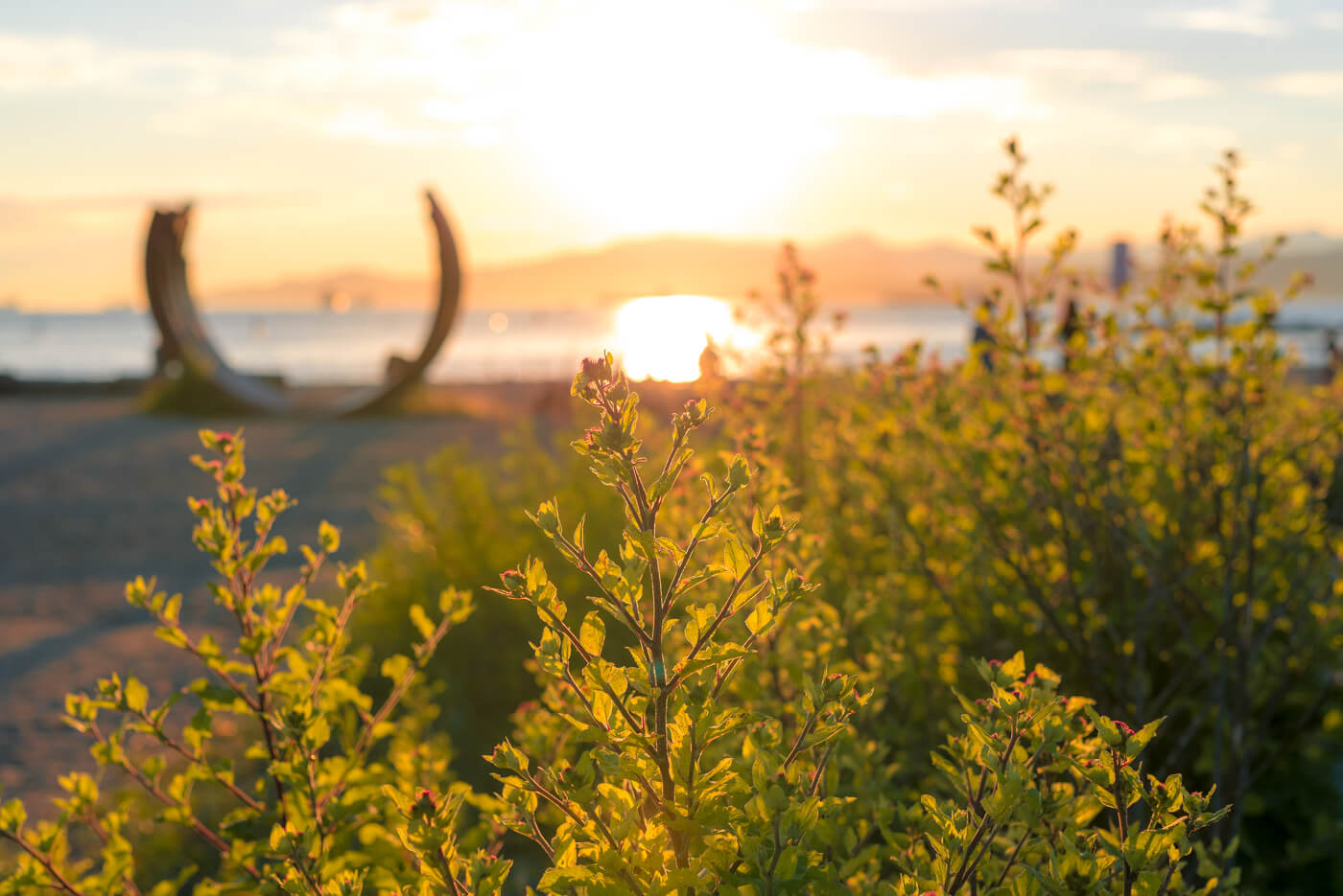 Celebrate the Start of Summer on June 21st Kitsilano.ca